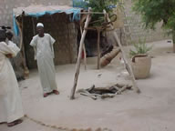 The history of Timbuktu – The Muslim Times